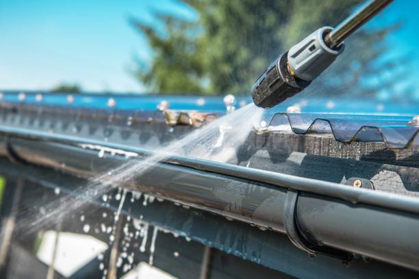 Best Roof Pressure Washing  in Cole Camp, MO