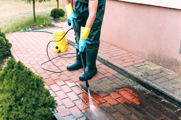 Best Affordable Power Washing  in Cole Camp, MO