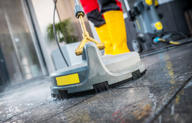 Best House Pressure Washing  in Cole Camp, MO
