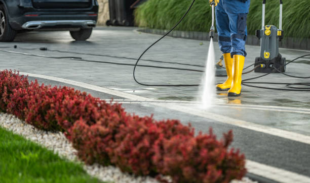 Best Pressure Washing Services for Businesses  in Cole Camp, MO