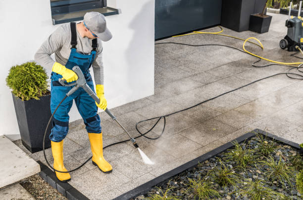 Best Deck Cleaning Services  in Cole Camp, MO
