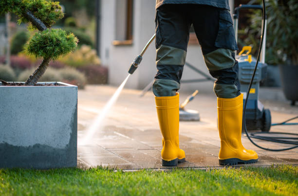 Best Exterior Home Cleaning  in Cole Camp, MO